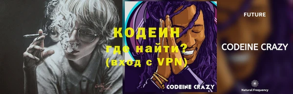ГАЛЛЮЦИНОГЕННЫЕ ГРИБЫ Гусь-Хрустальный