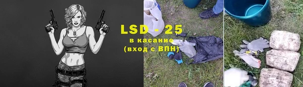 ПСИЛОЦИБИНОВЫЕ ГРИБЫ Гусиноозёрск