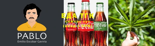 ПСИЛОЦИБИНОВЫЕ ГРИБЫ Гусиноозёрск