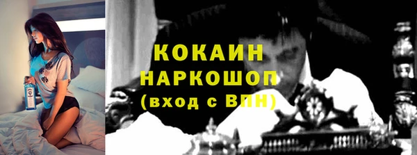 ПСИЛОЦИБИНОВЫЕ ГРИБЫ Гусиноозёрск
