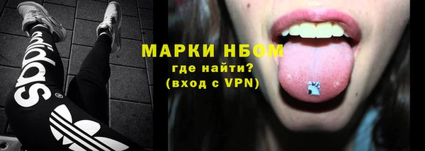 ГАЛЛЮЦИНОГЕННЫЕ ГРИБЫ Гусь-Хрустальный