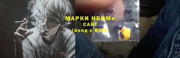 ГАЛЛЮЦИНОГЕННЫЕ ГРИБЫ Гусь-Хрустальный