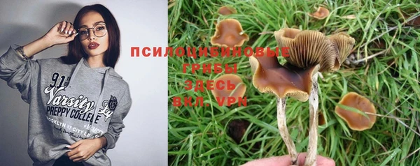 синтетический гашиш Гусев