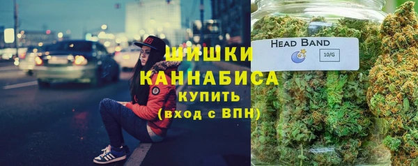 ПСИЛОЦИБИНОВЫЕ ГРИБЫ Гусиноозёрск