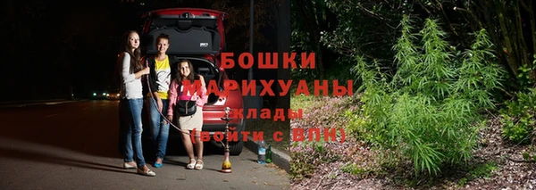 ГАЛЛЮЦИНОГЕННЫЕ ГРИБЫ Гусь-Хрустальный